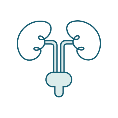 Urogenital