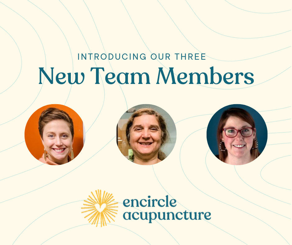 We Welcome Three New Team Members